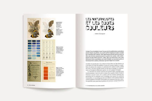 zeug couleur design