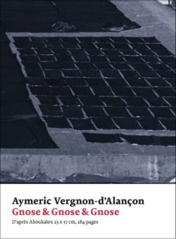 Gnose & Gnose & Gnose - Aymeric Vergnon-d'Alançon - art&fiction