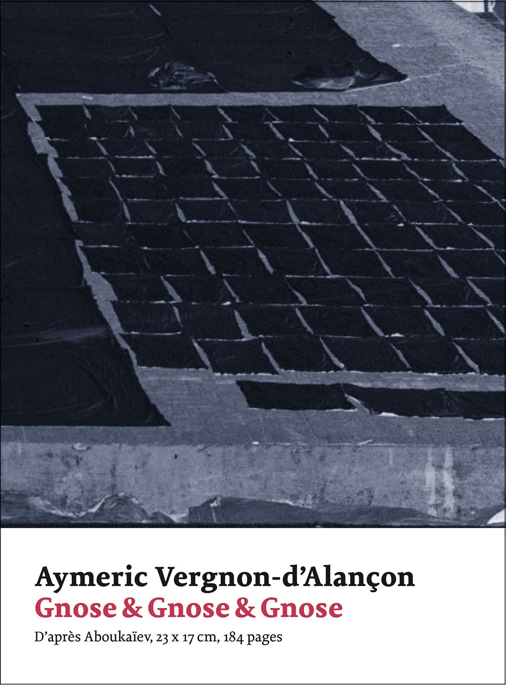 Gnose & Gnose & Gnose - Aymeric Vergnon-d'Alançon - art&fiction