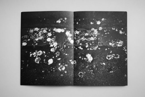 Titanic Orchestra - Julien Mauve – Image 2