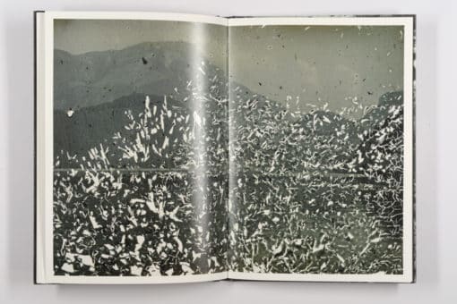 Mold is Beautiful - Luce Lebart - Editions Poursuite