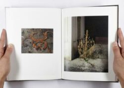 François Deladerrière - Delta - Editions Poursuite