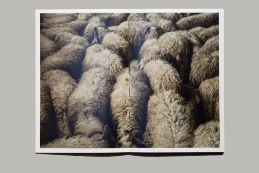 Geoffroy Mathieu - Matière Noire - Editions Poursuite