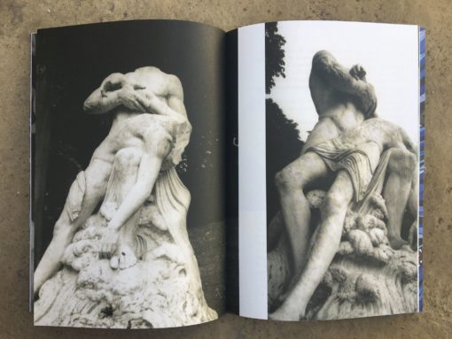 White Rabbit Dream 1
