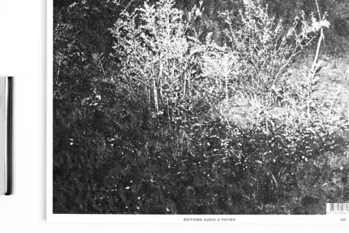Dernier Royaume - Quentin Derouet - Éditions Audio & Papier