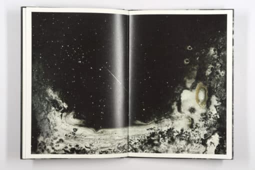 Mold is Beautiful - Luce Lebart - Editions Poursuite