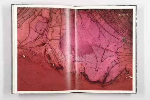 Mold is Beautiful - Luce Lebart - Editions Poursuite