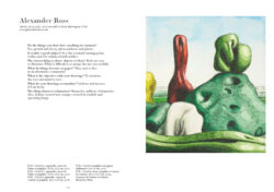 The Drawer 5