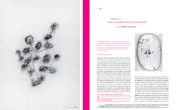 Roven n°4