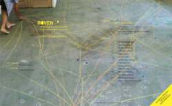 Roven n°10