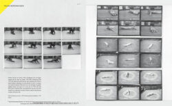 Roven n°10