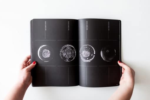 Cosmos-Sandrine-Elberg-Lame