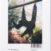Le Massicot - Sophie Saulnier