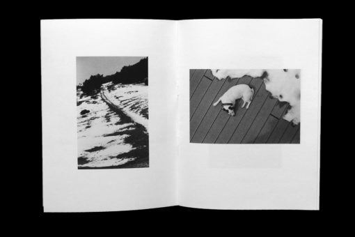 La Traversee - Magali Brueder