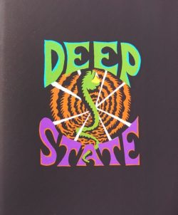 Deep State - L'appât - Mathieu Desjardins - Librairie Lame