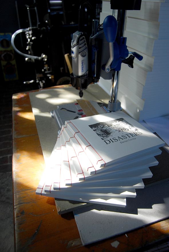 Disaters - Danijel Cecelja’s - Lappât - Librairie Lame