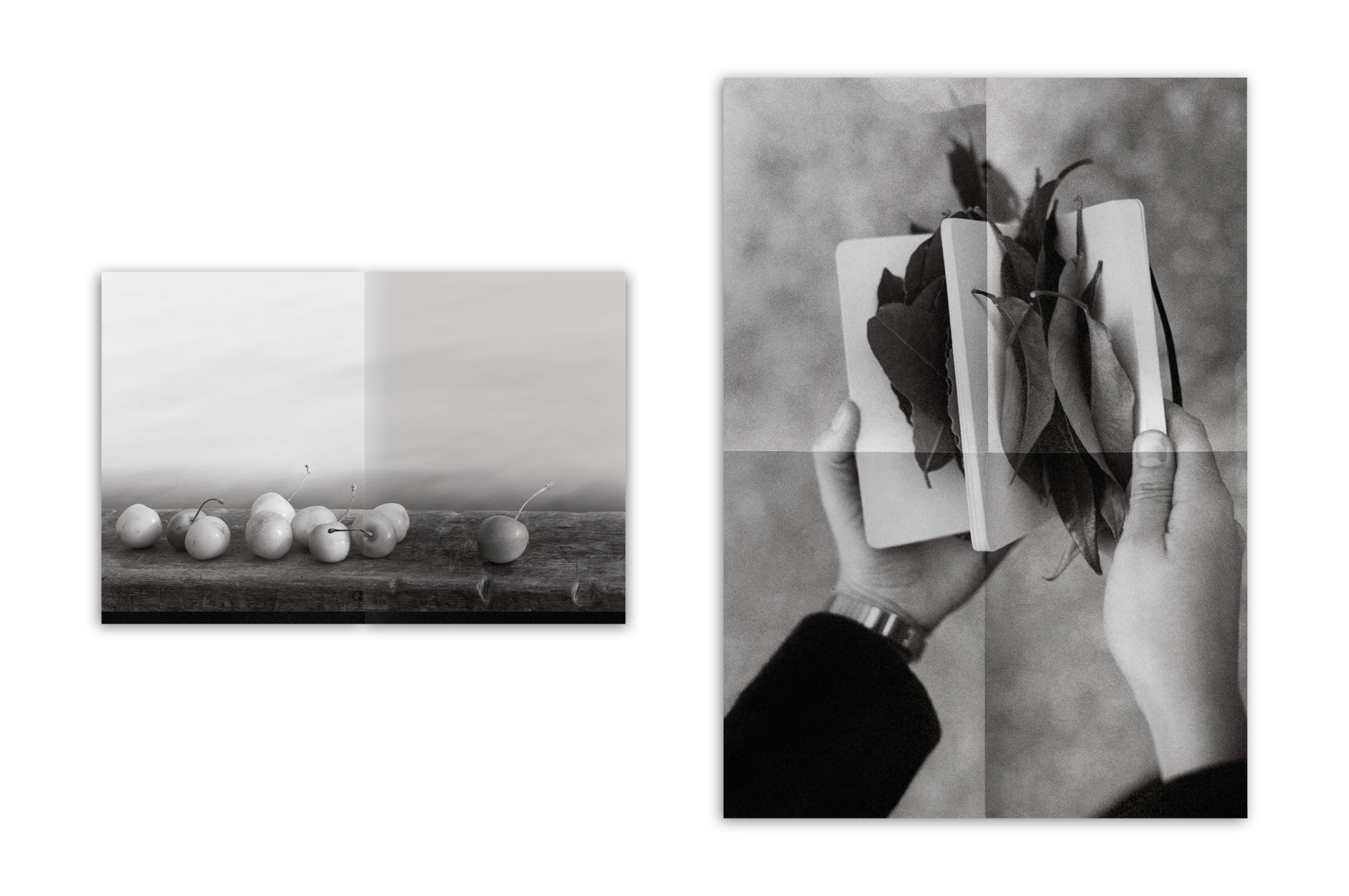 Behind the glass - Alexandra Catiere - Chose Commune - Librairie Lame
