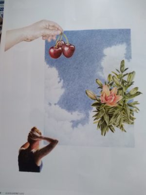 Papier-magazine-n5