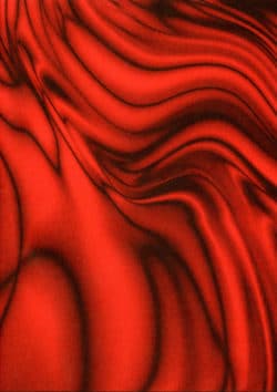 Simulations - Gary - La Hyène