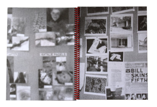 The-Board-paien-librairie-lame
