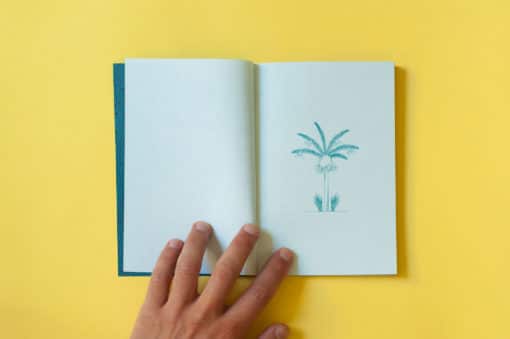 ile_des_réunion-commissaires-anonymes-librairie-lame