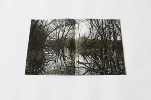 Absorbance - Quentin Yvelin – Image 3