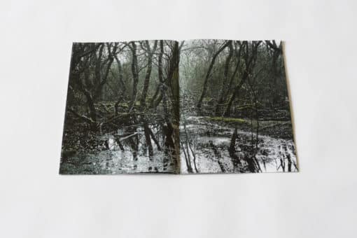 Absorbance - Quentin Yvelin – Image 13