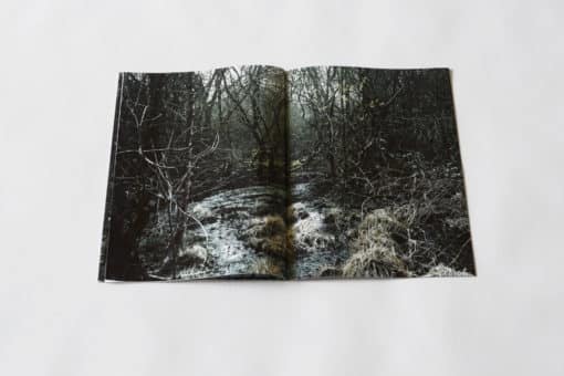 Absorbance - Quentin Yvelin – Image 7