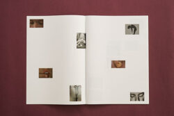 Le-feu-Pauine-Hisbacq-septemberbooks
