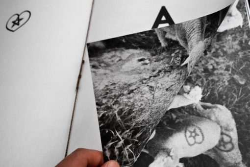 Traverser la terre - Chloé Gadbois-Lamer – Image 9