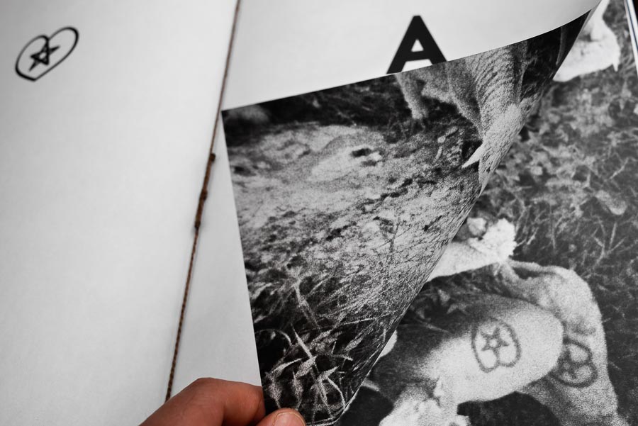 Traverser la terre - Chloé Gadbois-Lamer – Image 9