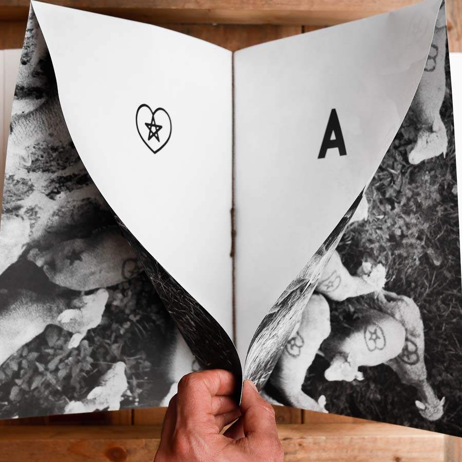 Traverser la terre - Chloé Gadbois-Lamer – Image 7