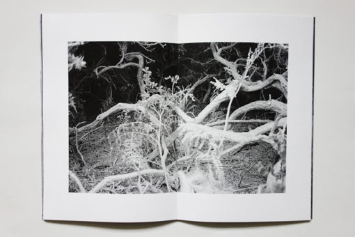 The is a fog in the path - Atelier Mclane – Image 8