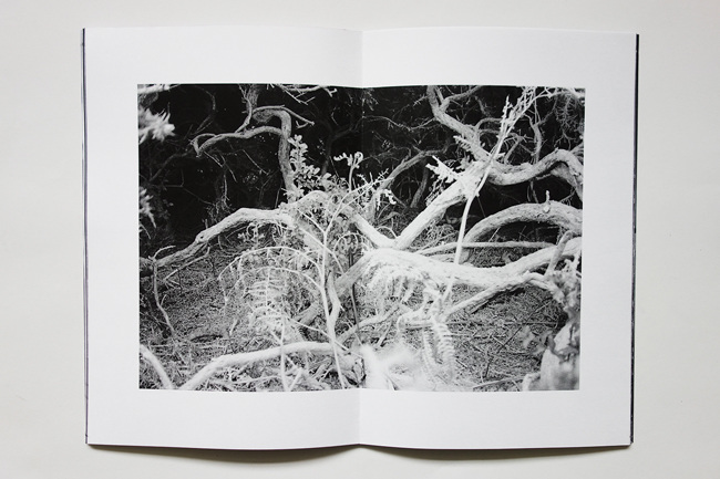 The is a fog in the path - Atelier Mclane – Image 8