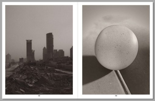 Eggs and Rarities - Paul Kooiker – Image 2