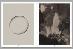Eggs and Rarities - Paul Kooiker – Image 11