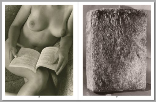 Eggs and Rarities - Paul Kooiker – Image 3