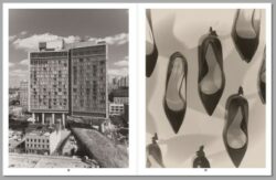 Eggs and Rarities - Paul Kooiker – Image 6