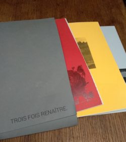 Quentin-yveli-renaître-