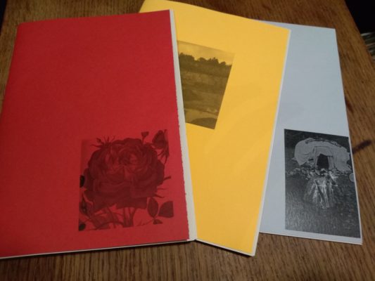 Quentin-yveli-renaître-