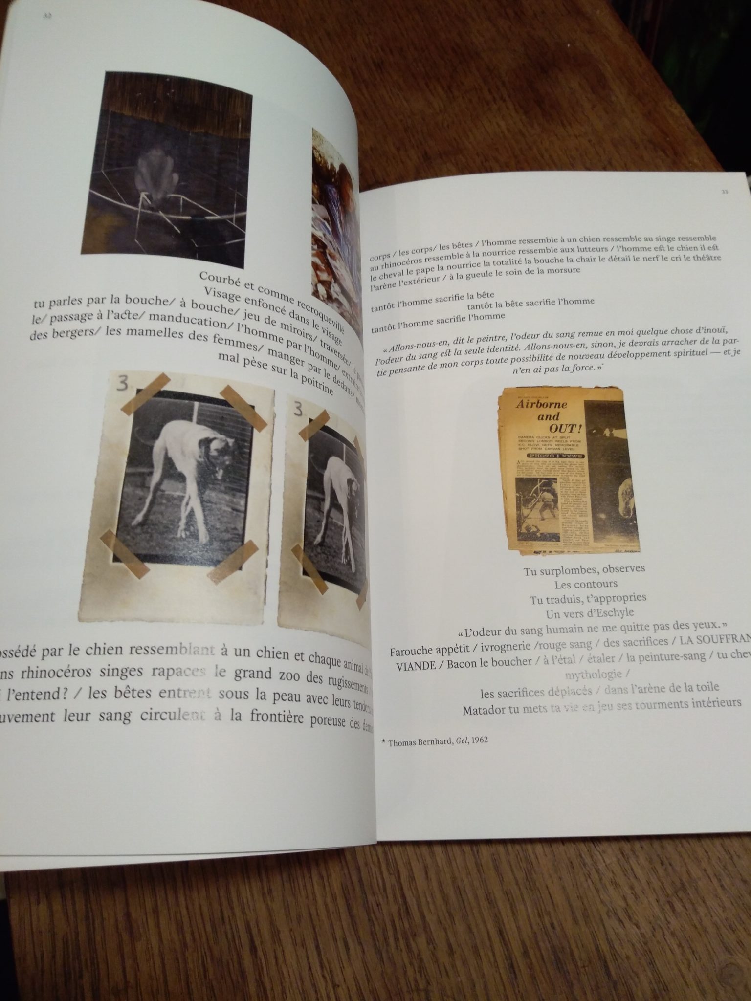 Bacon le Cannibale - Perrine Le Querrec – Image 4