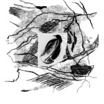 Imagos - Noémie Lothe – Image 4