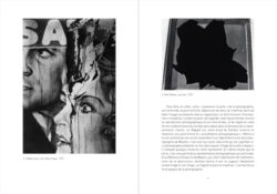 Images par accident – Une histoire des surgissements photographiques - Peter Geimer – Image 2