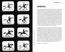 Le cinéma des animaux - Camille Brunel – Image 2