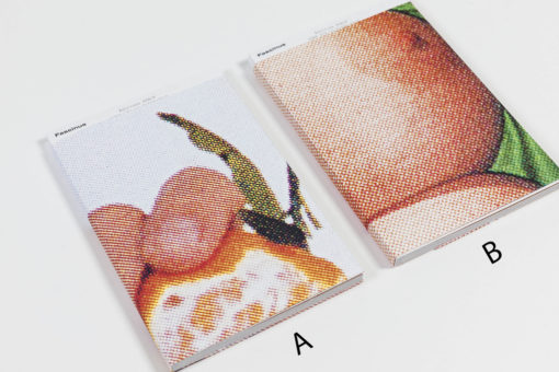 Fascinus - Ombline Ley & Anaus Bigard-Bachmann – Image 16