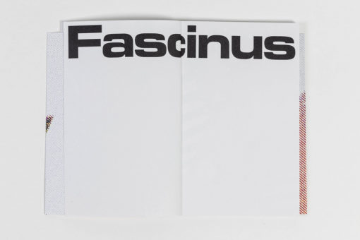 Fascinus - Ombline Ley & Anaus Bigard-Bachmann – Image 14