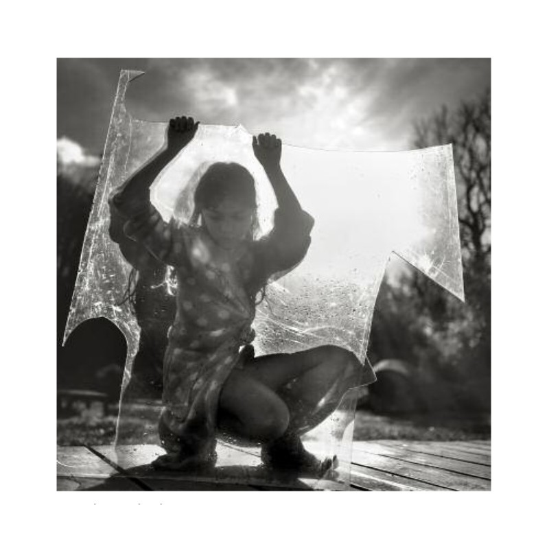 Summer of the fawn - Alain Laboile – Image 5