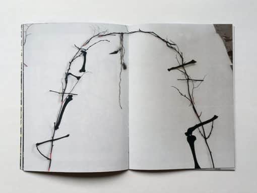 Gloomy Woody - Chloé Poizat – Image 4