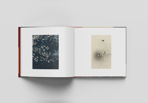 Pequeñas Melodías - Frederico Durand, Albarran Cabrera – Image 7
