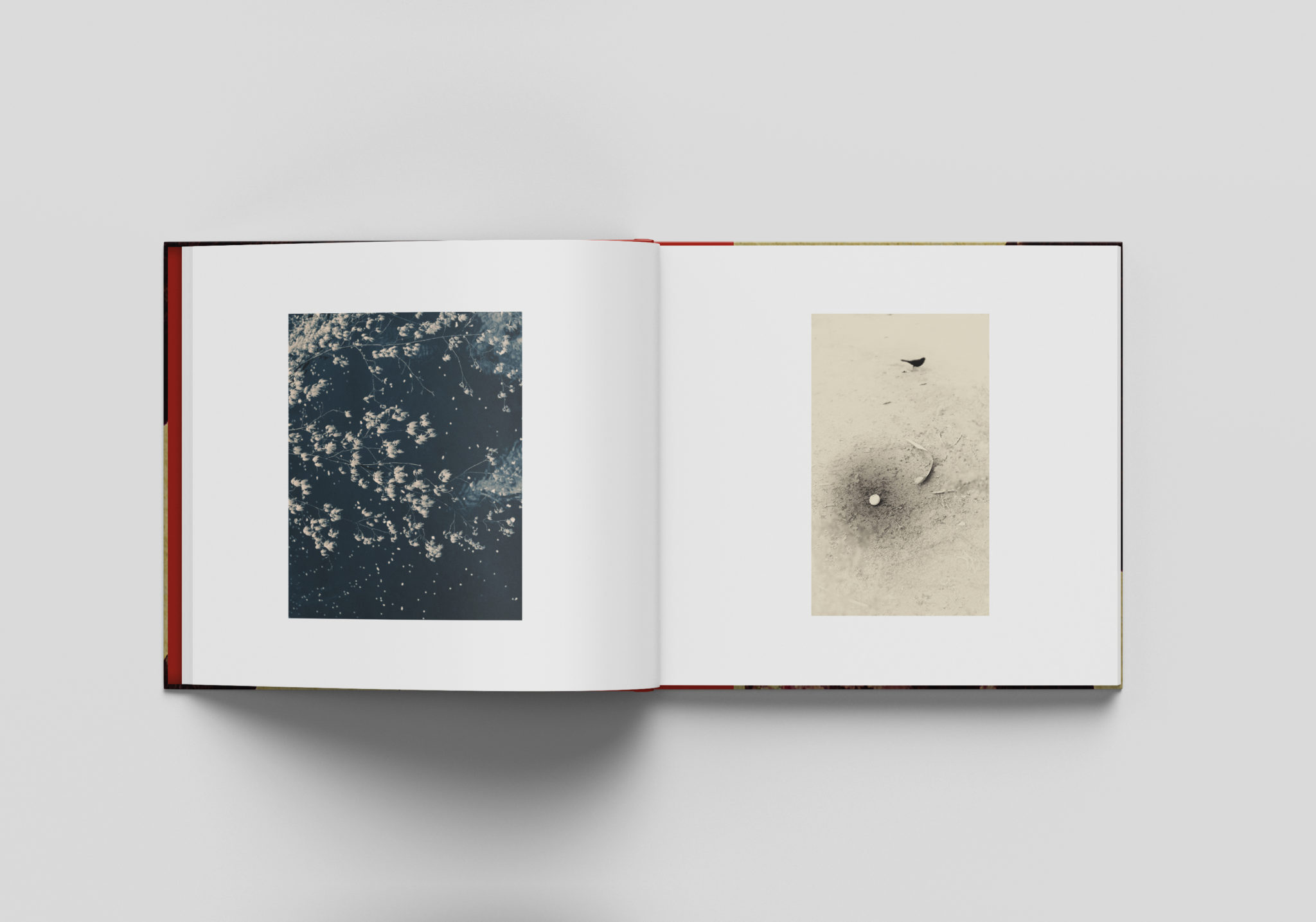 Pequeñas Melodías - Frederico Durand, Albarran Cabrera – Image 7